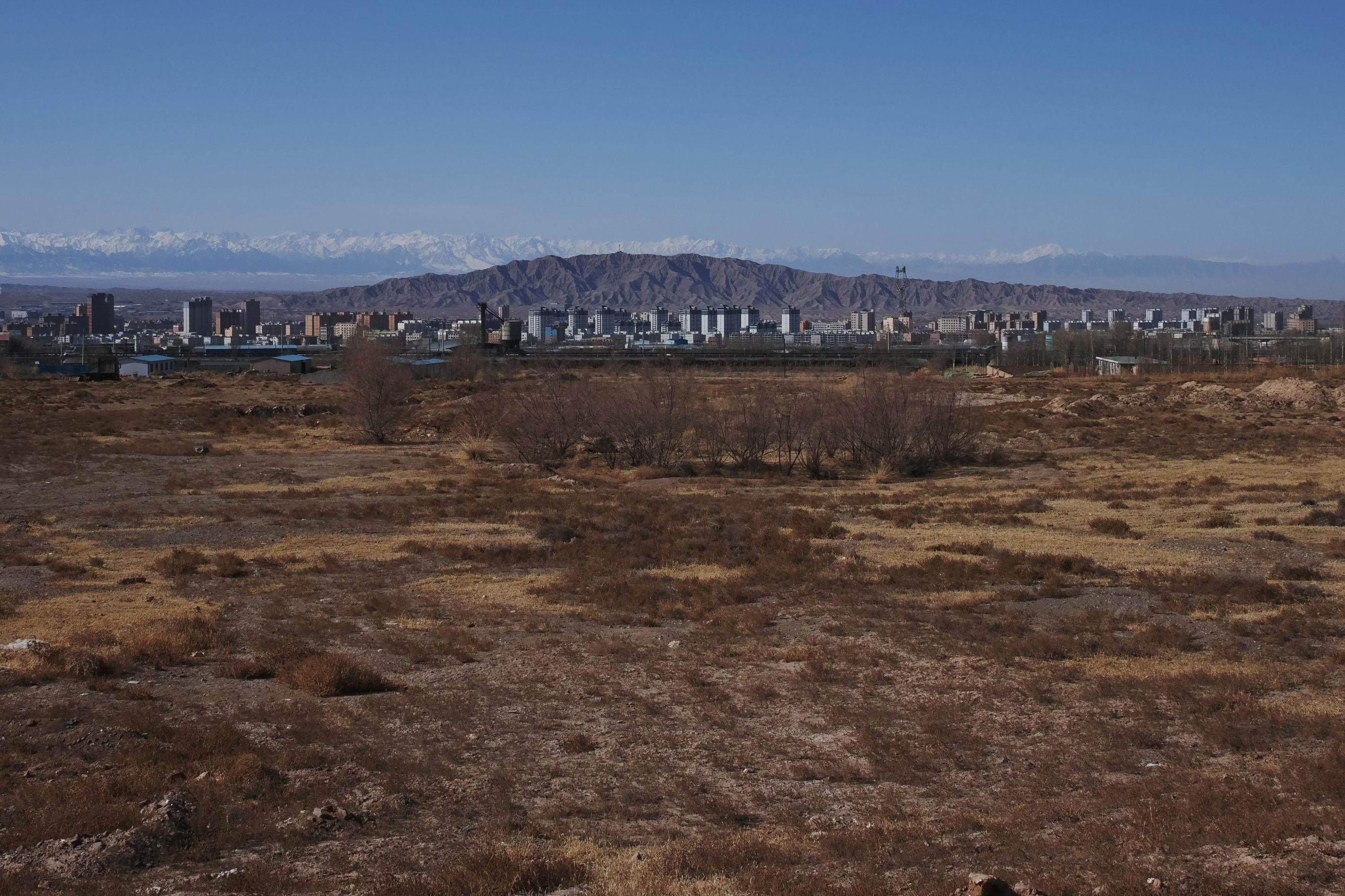 山丹的旷野 配图
